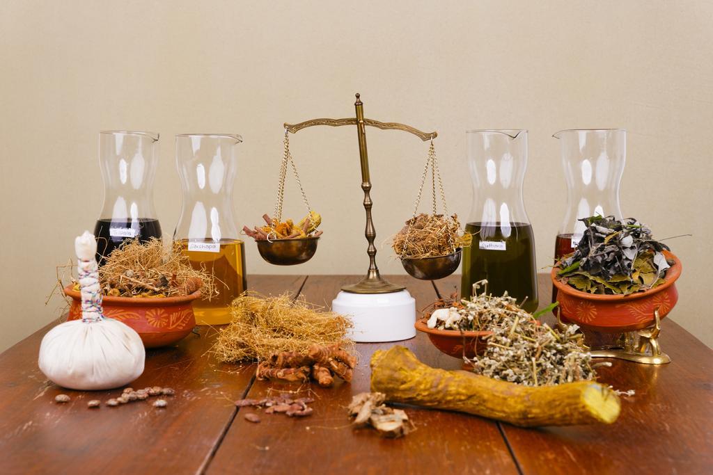 Hôtel Sathya Ayurveda à Bad Orb Extérieur photo